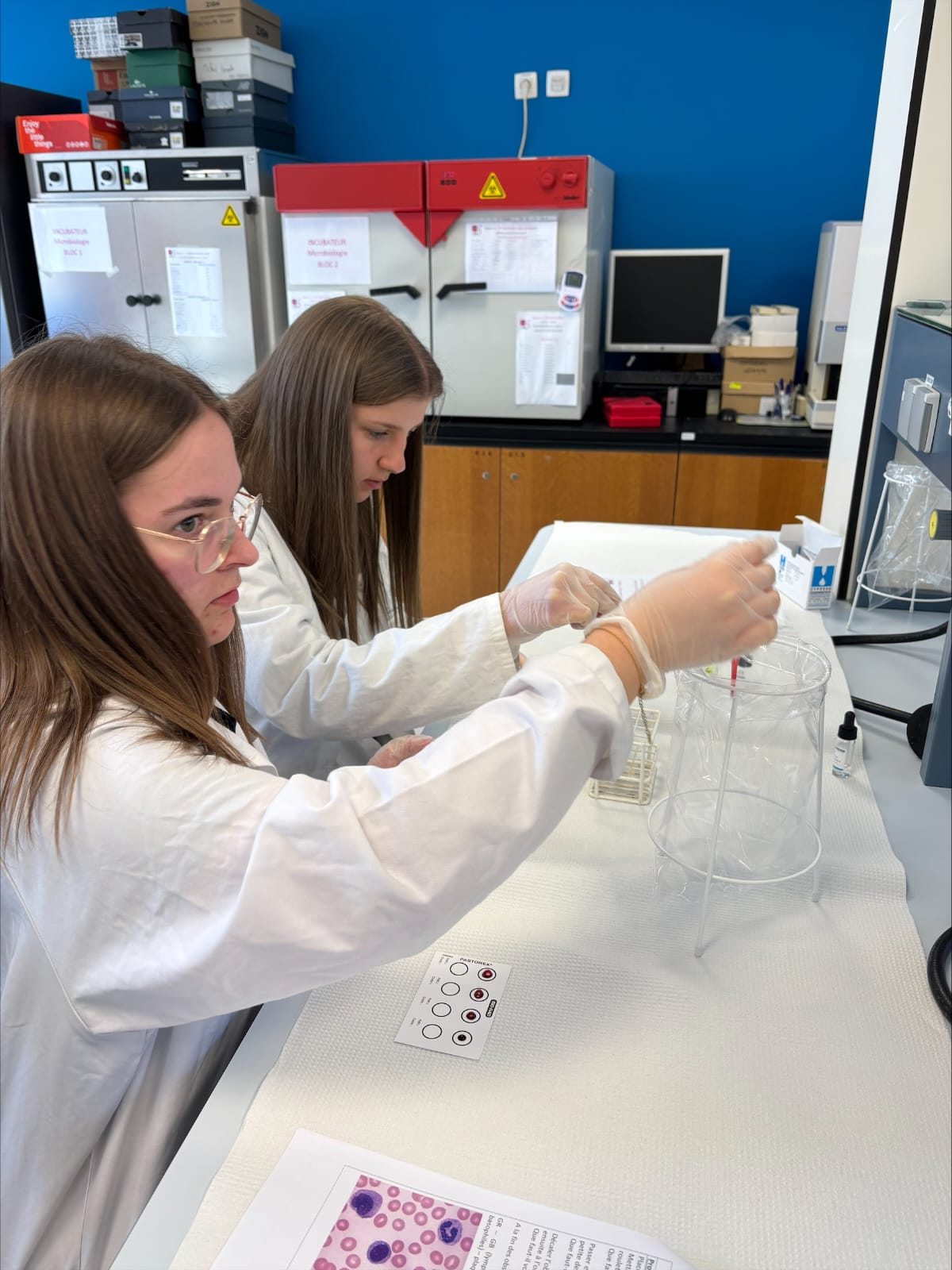 Printemps des sciences